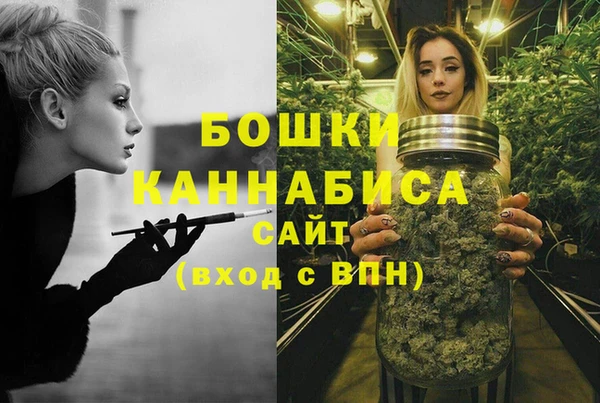 дживик Дмитровск