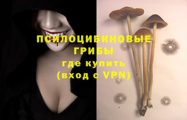 PSILOCYBIN Абинск