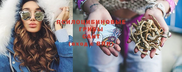 PSILOCYBIN Абинск