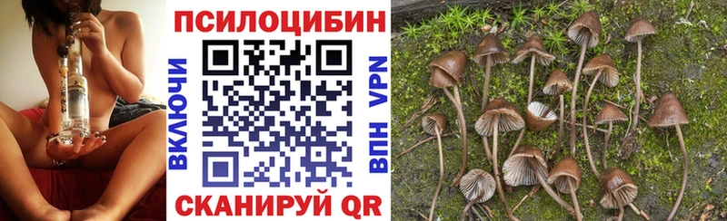 Галлюциногенные грибы Magic Shrooms  Воронеж 